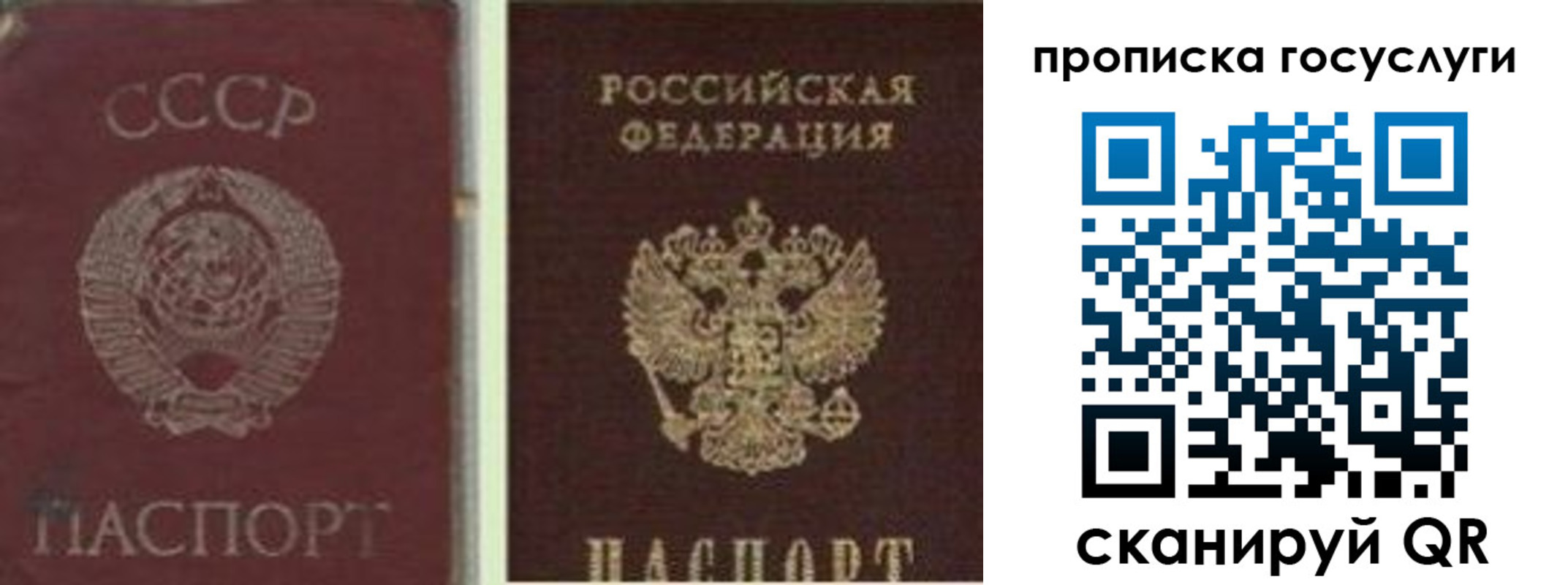 временная регистрация 2025 в Светлограде